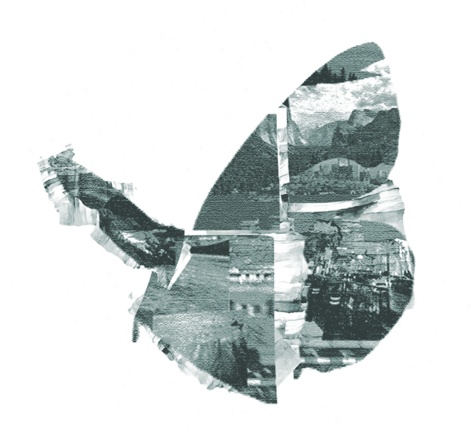 glo butterfly artwork